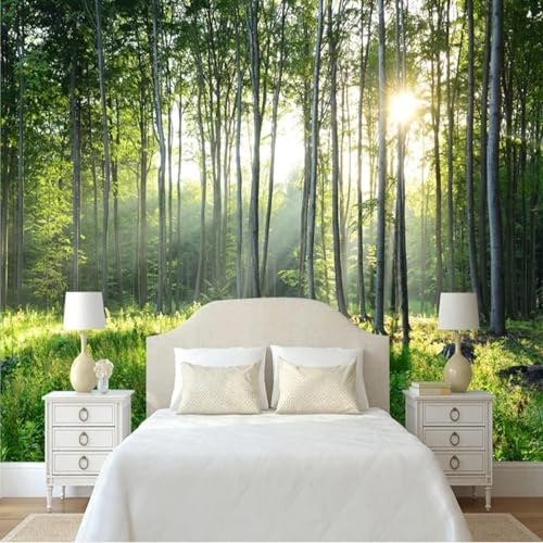 JCSMKFQ Carta da parati autoadesiva in PVC 3D con paesaggio naturale della foresta soggiorno camera da letto sfondo decorazione murale