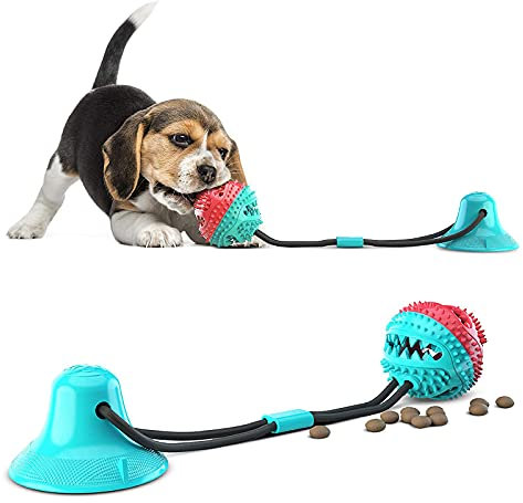 Paddsun Hundespielzeug mit Saugnapf, Zahnbürsten-Stick, Hundezahnbürste Kauspielzeug, Ball Leckerli-Spender für Hunde Welpen,Zahnreinigung mit Zahnpflege-Funktion für Hund Saugnapf Hundespielzeug