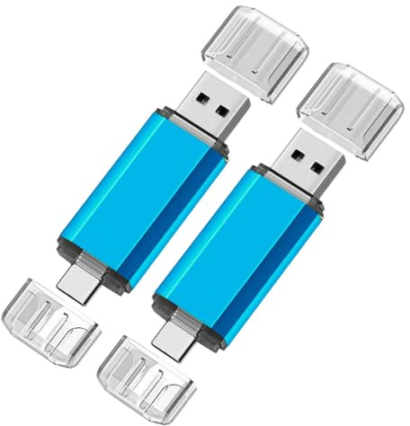 2 Piezas Memoria USB, 256MB Pendrive USB C, Memoria Externa, para Almacenar Fotos Y MúSica, para TeléFonos MóViles Y Computadoras