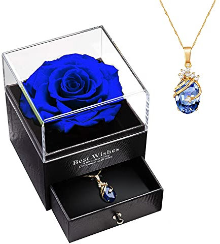 MINCHEDA Echte Konservierte Rose, Schmuck Geschenkbox mit Halskette, Geschenk für Sie, Geschenk zum Valentinstag, Weihnachten, Muttertag, Jubiläum, Geburtstags - Frau, Freundin, Frauen
