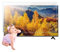 Protector de Pantalla de luz Azul 32-75 Pulgadas Mate y tasa antirreflejos de hasta 90%, película de protección Ocular for TV for Pantallas LCD, LED, 4K OLED y QLED HDTV(70 in 1561 X 900mm)