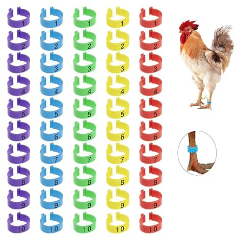 50 Anelli per Zampe di Pollame - 16mm Multicolore con Numerazione - Anelli Identificativi per Galline, Tacchini, Anatre & Piccioni - Anelli da Zampa Colorati per Allevamento e Gare