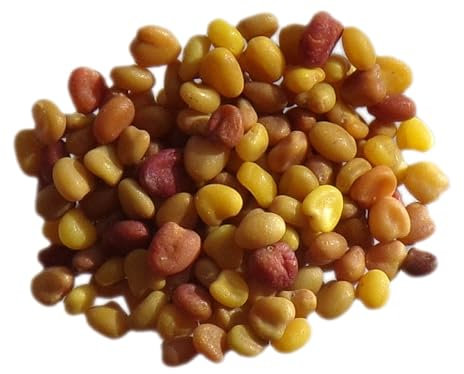 Trèfle Blanc Nain Non Traité Trèfle Blanc - 40 grammes - Trifolium Repens L. (Engrais Vert) SEM06