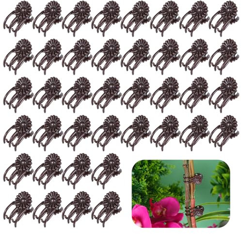 Tyqour Lot de 40 pinces à orchidées pour plantes grimpantes, plantes grimpantes, vigne grimpante, support pour plantes grimpantes