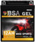 BSA YB12AL-A2 GEL Motorradbatterie 12V 12Ah 220A/EN Batterie doppelte Lebensdauer entspricht 51213 GEL12-12AL-A YB12AL-A vorgeladen auslaufsicher wartungsfrei ersetzt 10Ah