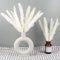 Feibmir Erba secca di pampa per decorazioni domestiche composizioni floreali matrimoni, mazzi di fiori secchi 15pcs per la decorazione Boho Decor