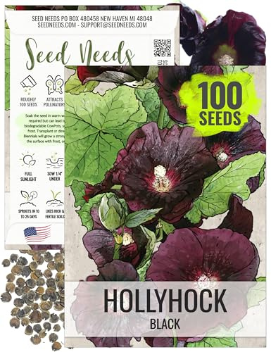 Seed Needs, Black Hollyhock Seeds - 100 Heirloom Seeds for Planting Alcea rosea - Great for Gothic Gardens, Open Pollinated Biennial that Attracts Pollinators (1 Pack)
