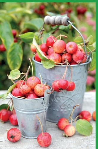 Blankokarte Herbstliche Ernte – Äpfel & Eimer Motiv, Naturfotografie für Einladungen & Danksagungen, Vintage Countryside Dekoration - mit Umschlag