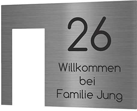 Jung Edelstahl Design Modernes V2A Edelstahl Türschild optimiert für Ring Videotürklingel Pro Kabel Klingelschild 20x15 cm Haustürschild mit Hausnummer. Individuell personalisierbar (Edelstahl)