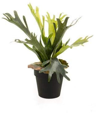 artplants.de Kunstpflanze Geweihfarn Lennon, grün, Ø 35cm - Kunststoff Hirschfarn