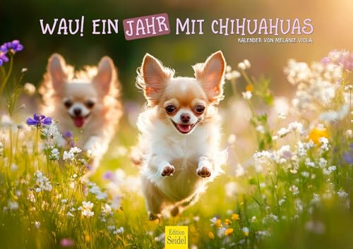 Edition Seidel Calendario Premium Wau de un año con chihuahua 2026, formato DIN A3, calendario de pared, animales, perro, cachorro, perro, perro, perro, mascota, moda, estilo de vida, hogar, amante de