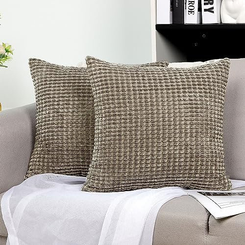 TAN.TOMI Kissenbezug Kord Uni 2er Set, Kissenhülle Kissenbezüge für Zierkissen Dekokissen Sofakissen Couchkissen in vielen Farben（Hellgrau,60x60CM）