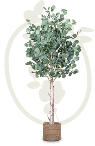 MAIA SHOP Eucalipto artificiale 150 cm, pianta finta da interno con tronco naturale, albero decorativo realistico per casa ufficio hotel