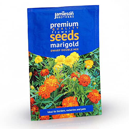 Jamieson Brothers® Marigold French Dwarf Double Mixed Flower Seeds (Approx. 95 Seeds) - Grow Beautiful Flowers at Home Or at The Allotment to Attract Pollinators and Add Colour and Fragrance