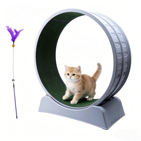 Cat Wheel for Indoor Cats - 80CM Large Cat Exercise Wheel Treadmill with Safety Lock, Silent Running Wheel for Weight Loss & Health, Easy Assembly Carpeted Runway for Exercise