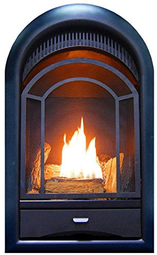 ProCom Dual Fuel Ventless Gas Fireplace Insert - Arched Door, 15,000 BTU, T-Stat Control - Model# PCS150T