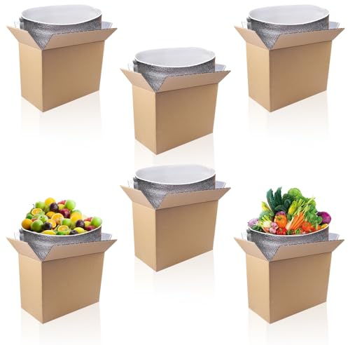 aromeili Thermo Chill Double Insulated Shipping Boxes with Aluminum Foil Insulated Bag Liner-11 x 6.1 x 7.87 (6 Pack),Reusable Hot & Cold Carton Moving Kits for Shipping,Mailing,Packing