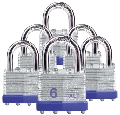XanHen Lot de 6 cadenas à clés identiques en acier laminé avec anse normale, pour loquet à moraillon, abris de jardin, clôtures, casier de rangement, école, salle de sport