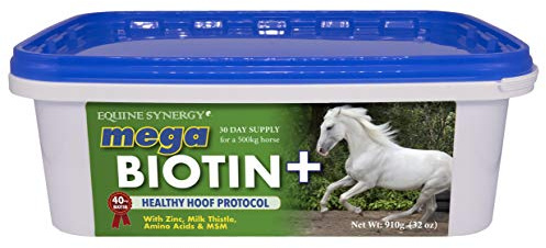 Equine Synergy MEGA BIOTIN + Maximum Biotin (40mg), Concentrated Hoof Formula for Hooves