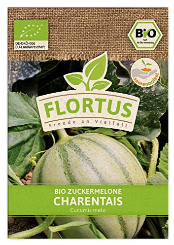 FLORTUS BIO Zuckermelone Charentaise | Zuckermelonensamen | Obstsamen | Samen zur Anzucht für Garten, Balkon, Küche & Fensterbank