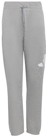 adidas Unisex Kids Essentials Big Logo Pants, Medium Grey Heather/White, 7-8 Years