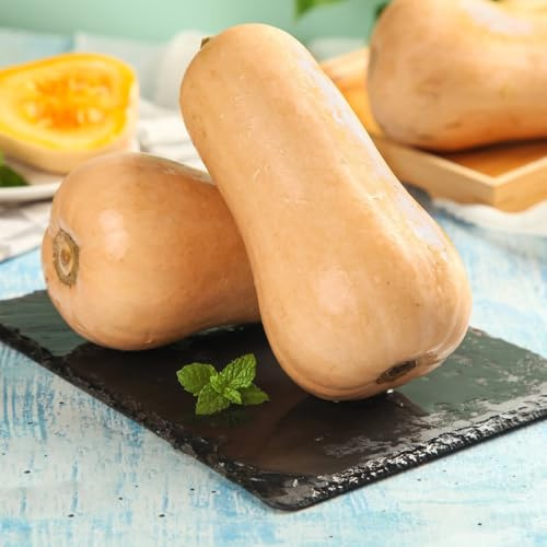 Semillas de calabaza - variedades antiguas extraño antiguas variedades de exótico jardín del balcón calabaza ornamental Regalos para los amantes la 90pcs