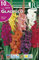 Rocalba Bulbos de Gladiolo Mezcla de Colores (10 Unidades)