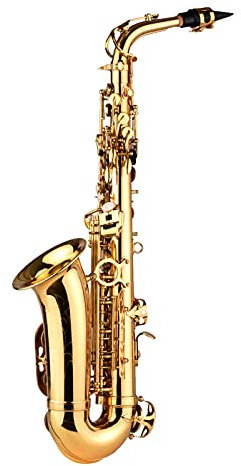 Kit para Principiantes Saxo EB Alto Saxofón Latón Lacado Alto Sax Instrumento de Viento con Bolsos de Transporte Straps Straps Cepillo de Tela de Limpieza