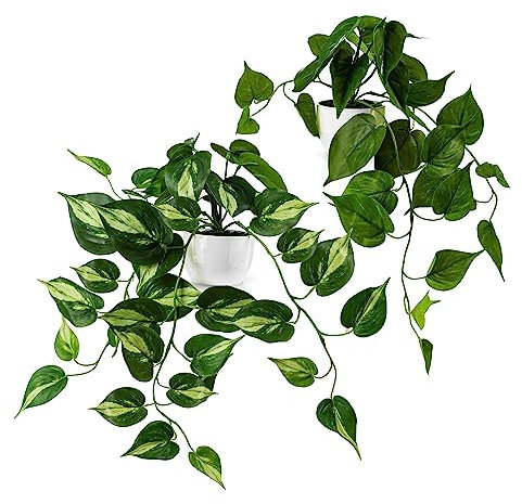 PASCH® 2er Set Kunst Efeu Tuten (33cm) in weißen Keramiktöpfen: künstliche Pflanzen wie echt | Efeu künstlich im Topf | Kunstpflanze im Topf | Hängepflanze künstlich (Efeutute)