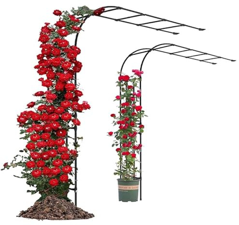 Rosenbogen Aus Metall,Halber Rosenbogen,Stabil Halber Gartenbogen,Eingangspergola Halbbogen,Kletterrosen Rankhilfe,Wetterbeständig Rosengestell,Rosenbögen Für Rosen Und(W:240cmxH:240cm)