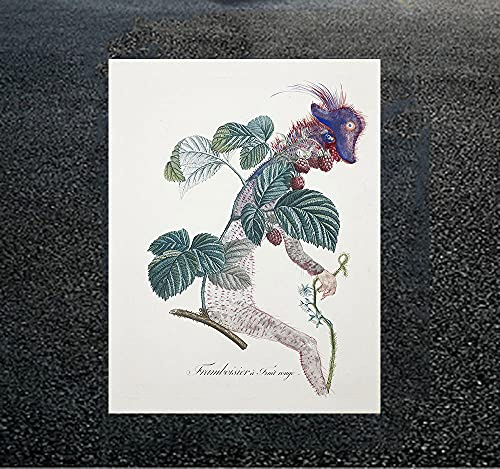 CloudShang Dali Framboisier (Raspberry Bush) Poster Salvador Painting Weird Dreamlike Image Abstract Surreal Wall Art Vintage Cubism Pop Decor H03148