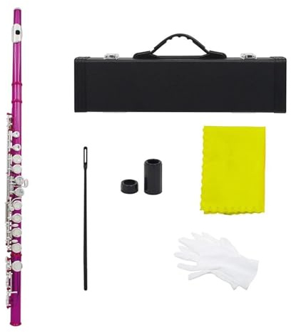 tvärflöjt instrument Nybörjarflöjt 16 hål C-nyckel Nybörjare som spelar instrument(Pink)