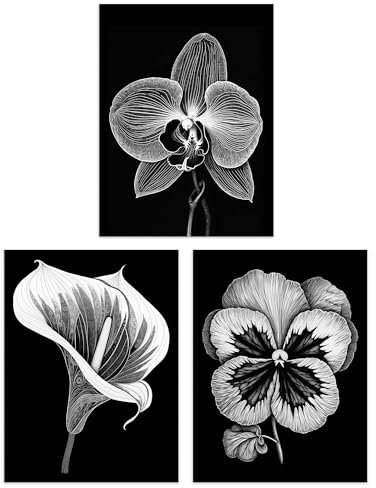 Artery8 Set of 3 Elegant Single Orchid Cala Lily Pansy Spring Flowers Black and White Floral Impact Artworks Unframed Wall Art Living Room Poster Prints Pack