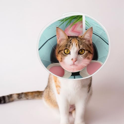 Qewfoju White Bunny Bottom and Easter Eggs Print Cat Cone Collar Cats Neck After Surgery to Stop Licking and Scratch Cone Lightweight Pet Head Cones for Cats