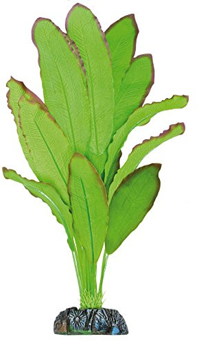 ICA Aquatic Plants AP1110 Planta de Seda Echinodorus Spidemet para Acuario, 39 Cm