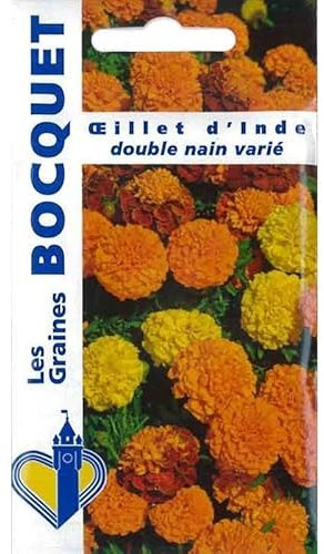Sachet de graines de Oeillet d'Inde double nain varié - 1,2 g - fleur annuelle - LES GRAINES BOCQUET