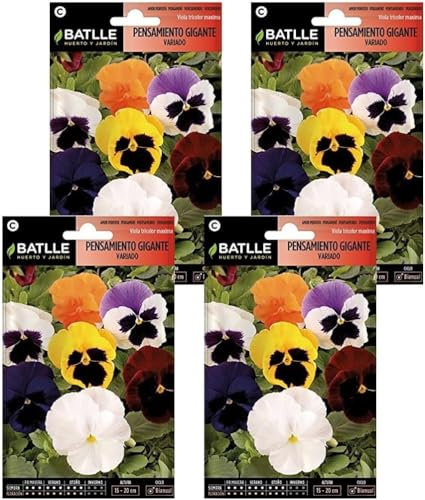 Semillas de pensamiento gigante variado Semillas Batlle PACK (4)