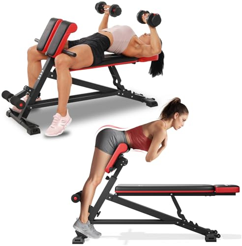FLYBIRD 4 in 1 Workout Bench, Roman Chair, Weight Bench and Sit Up Bench for Hyper Back Extension and Full Body Workout with Handle