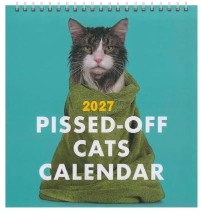 Calendrier Mural avec Chats 12 Mois Décoratif Chatons Drôles en Colère