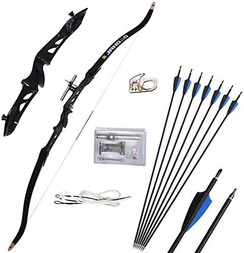 ZSHJGJR Bogenschießen Takedown Recurve Bogen und Pfeil Set 30-38lbs Jagdbogen Sportbogen Zielpraxis Langbogen Erwachsener Bogen mit 12pcs Carbon Pfeile (66 / schwarz, 30lbs)