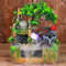 Donened Zimmerbrunnen mit LED Beleuchtung und Nebel, 30 x18 x 33 cm Tischbrunnen Wasserfall, Garten-AquariumHarz Desktop Brunnen, Zimmerbrunnen