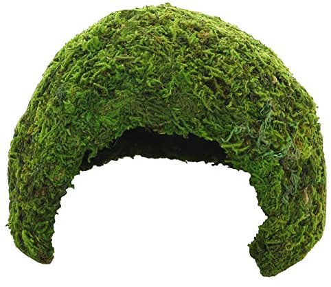 Hobby 34600 Jungle Cave 1, 74 g