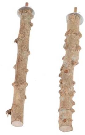 FRCOLOR 2st Vogelklauenstock Papagei Holzsitzstangen Spielen Steht DIY Papagei Stehen Tabelle Top Vogel Barsch Papagei Gym Stehen Holz Vogel Stand Spielzeug Hölzern Backenzahn Haustier