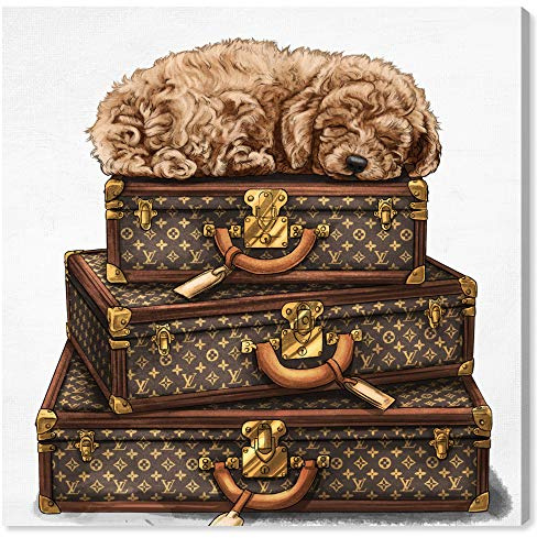 The Oliver Gal Artist Co. Fashion and Glam Wall Art Canvas Prints 'Sleeping Poodle' Travel Essentials Home Décor, 30 in x 30 in, Brown, White