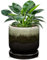 Oairse Ceramic Pot for Plants 5 inch/13cm Ceramic Planter Decorative Small Pot with Drainage Hole and Saucers Gradient Black Outdoor Inoor Flower Pot for Succulent, Cactus, Snake Plant, Herb