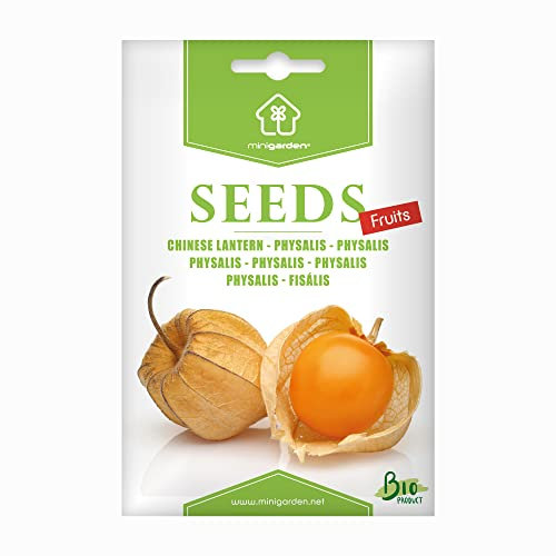 Physalis, Graines prêt à Pousser Minigarden, 100% Naturelles sans Propagateurs Chimiques ni Génie Génétique, inclut entre 150 et 180 graines