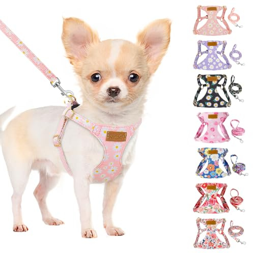 SlowTon Puppy Harness and Leash Sets - Adjustable Lightweight Harness for Small Dogs Kitten, No Pull Escape Proof Vest Harness for Outdoor Walking Running Training Small and Medium Sized Dog