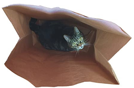Cat FurNature - Catnip Attack Bags