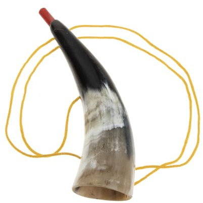 GARIOUANS Cuerno Vikingo de Cuerno de Buey Ligero Tonos Extraordinarios, Juguete de Trompeta para Animar Fiestas y Juegos Deportivos Infantiles Color Aleatorio