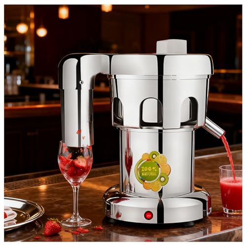 Juicepress – rostfritt stål kraftig centrifugaljuicer för frukt och grönsaker, 550 W kraft, perfekt för hem och kommersiellt bruk